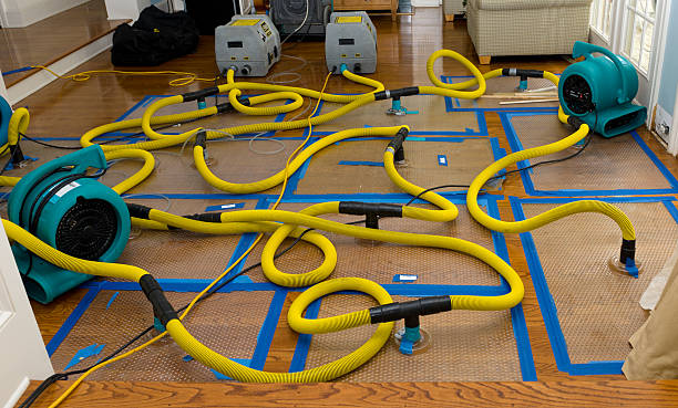 Professional Burst Pipe Water Damage technician working in Vandalia, OH